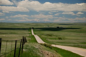 My "path" hasn't always been this straight.