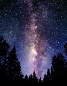 We could see the Milky Way almost this clearly on that night without whippoorwills.